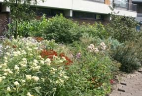 Tuin bij een flat